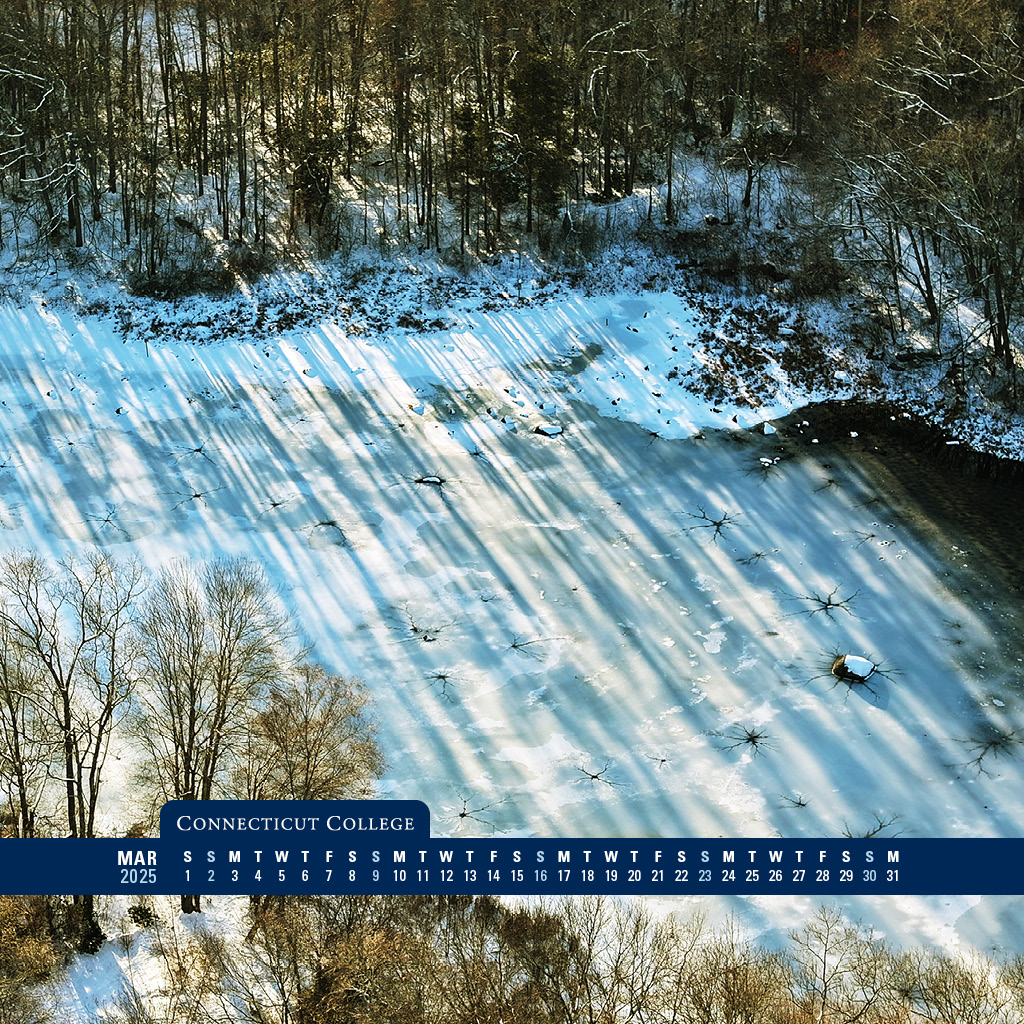 Frozen pond on campus