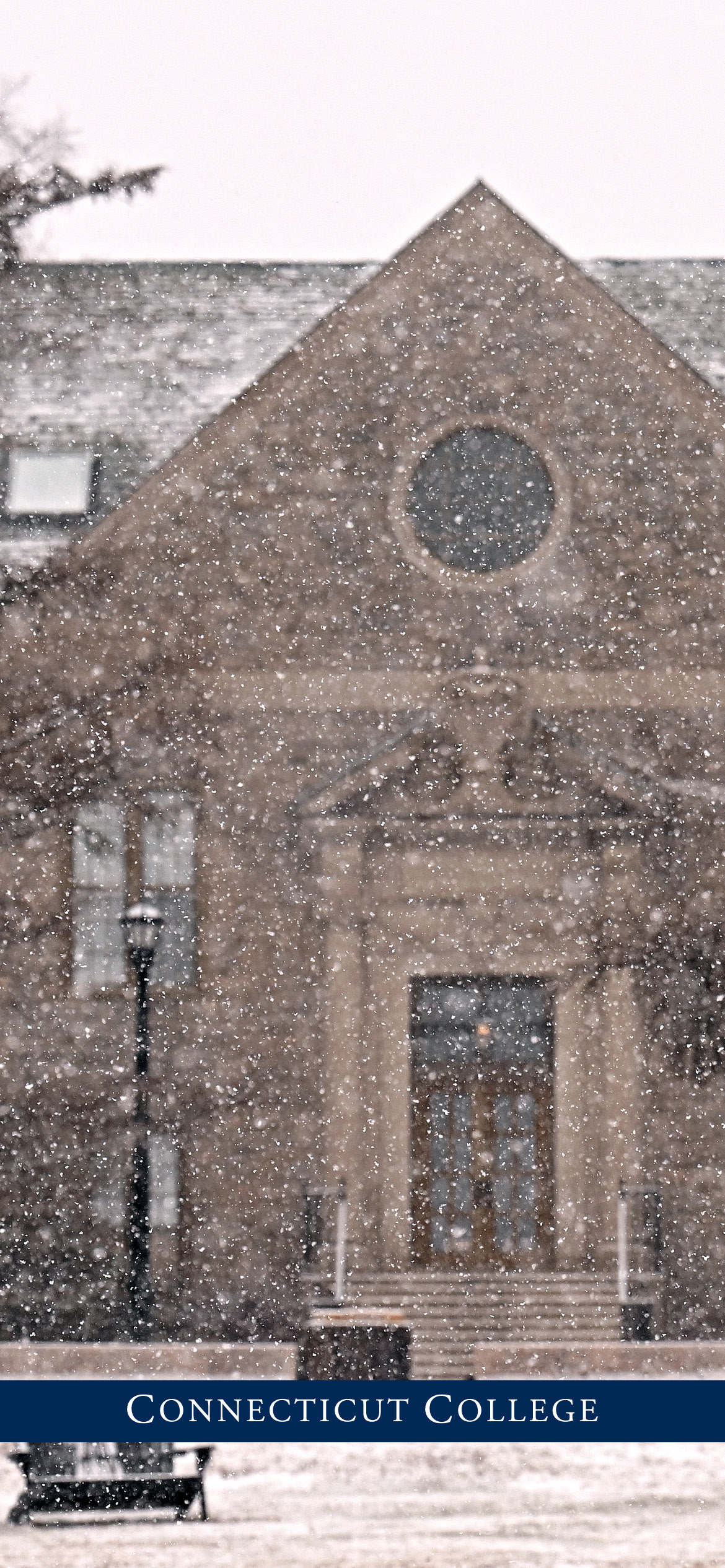 Campus in winter