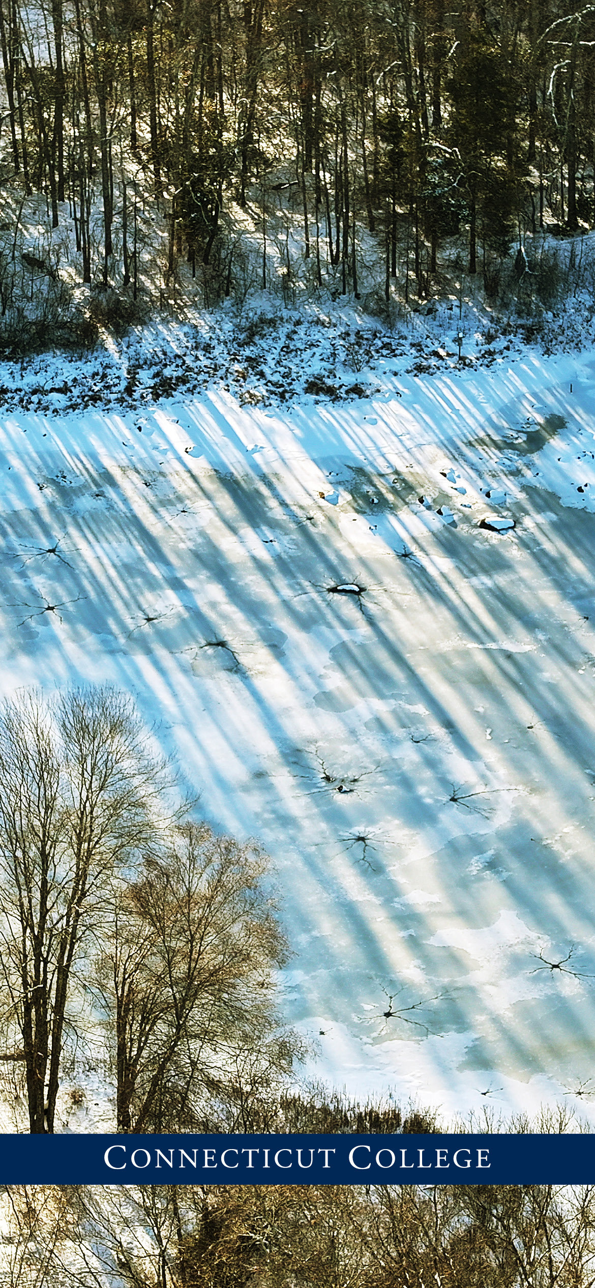 Frozen pond on campus