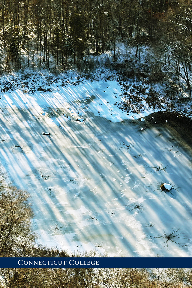 Frozen pond on campus