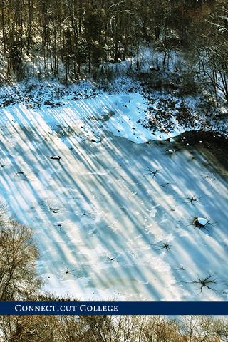 Frozen pond on campus