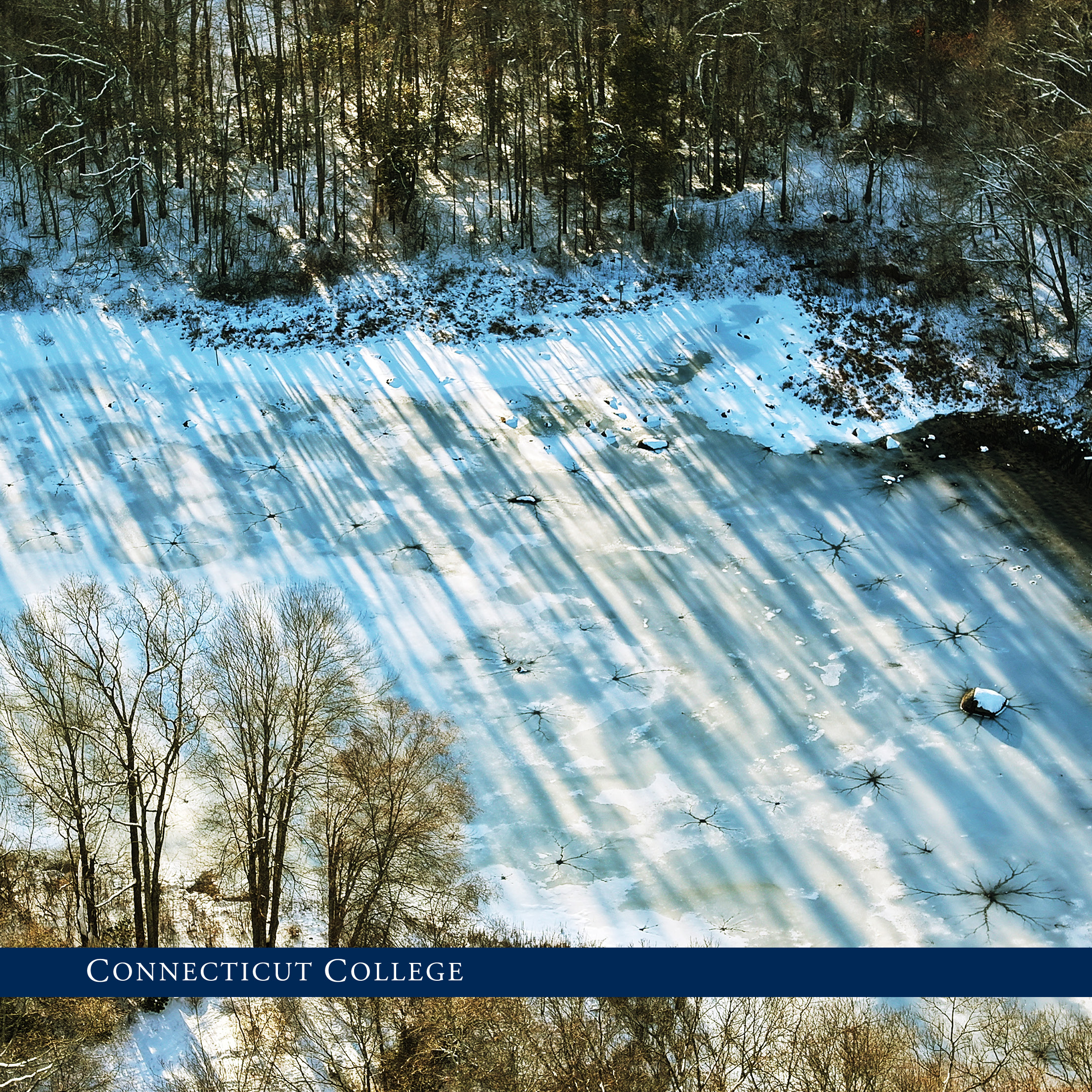 Frozen pond on campus