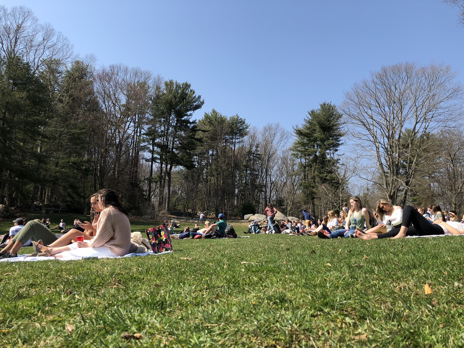 Students lay out on blankets in the Arboretum to listen to music at Arbofest