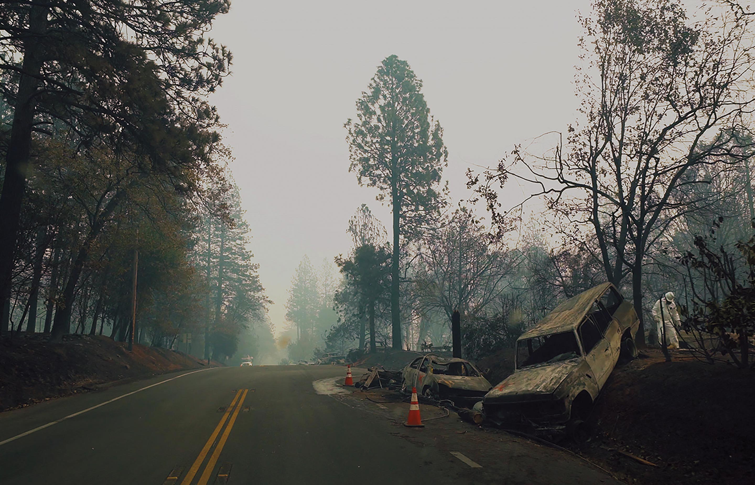 Image of rescuers looking through charred remains following a fire