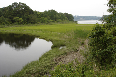 Picture of Mamacoke Island.